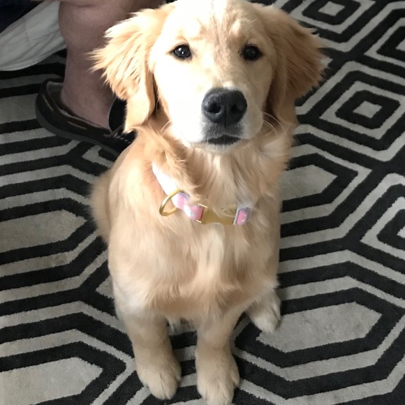 About My Closet! - Picture 6 of 7